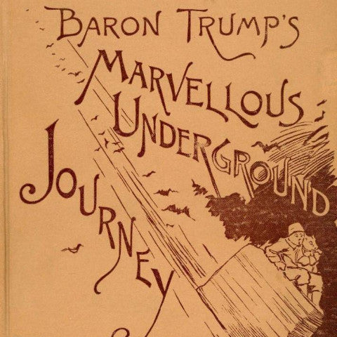 Baron Trump's Marvellous Underground Journey PDF