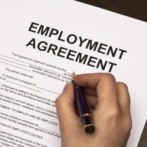 Employment Agreement Standard Employment Agreement